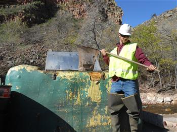 fish stock 1_thumb.jpg